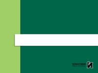 PowerPoint - Green Bars