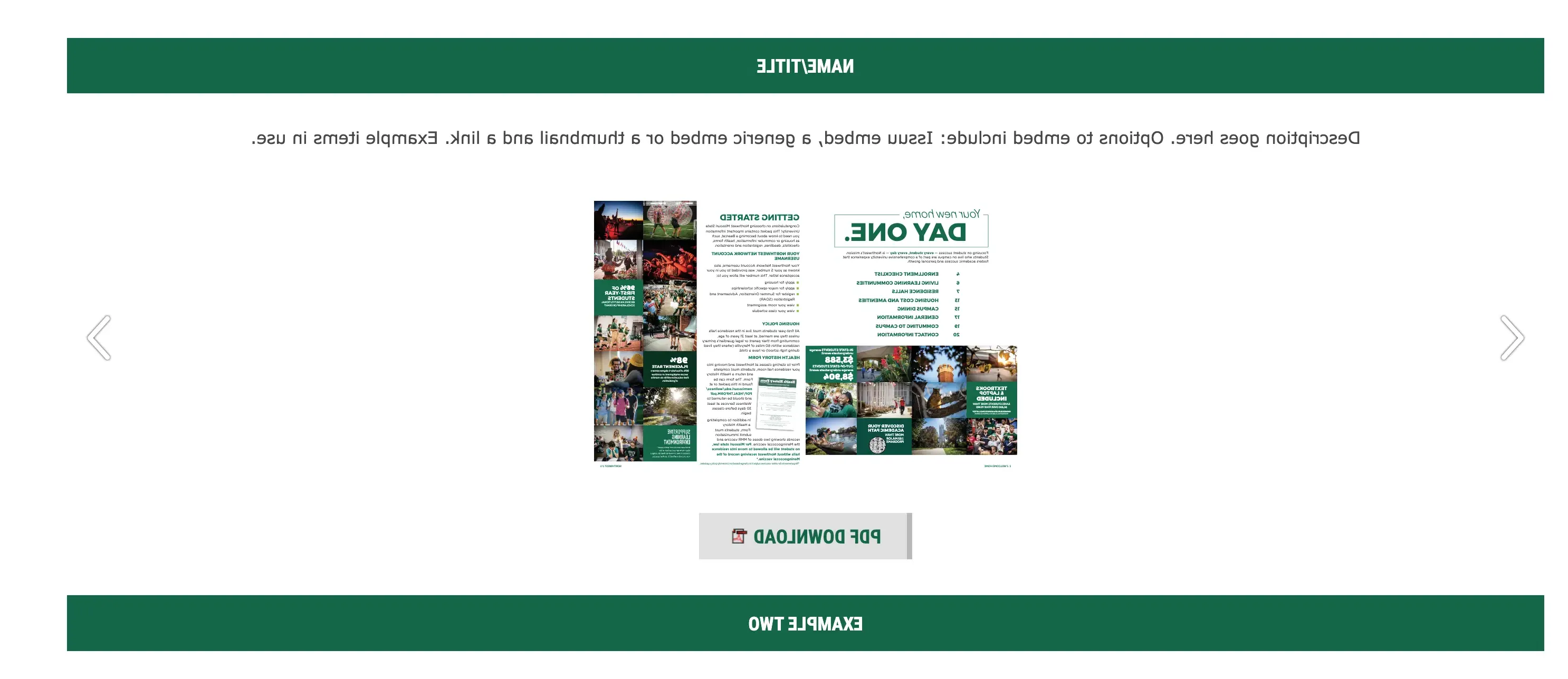 brochure_template.webp